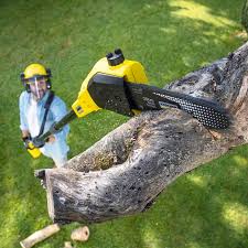  Galena, IN Tree Removal and Landscaping Services Pros